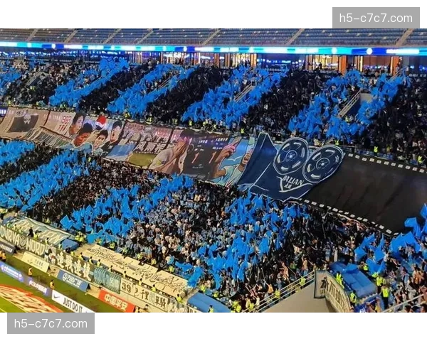 镜头捕捉：球迷看台巨型TIFO致敬即将退役的沙尔克老将